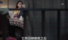 姐姐爆料视频大全集下载,揭秘娱乐圈幕后真相